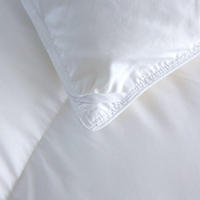 Ensemble de literie en duvet Alternative Designer Luxury Comforter Sets Duck Down Quilt Goose Down Quilts