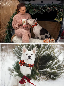 NiBao Schattige Hondentuig met Afneembare Vlinderdas, Schattige Geruite Hondentuig voor Hondencadeaus - Product Image 5