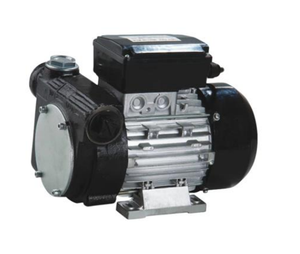Pompe à <span class=keywords><strong>carburant</strong></span> électrique robuste IP54 110V 220V en fonte à aubes pour transfert de diesel, kérosène et huile et distribution industrielle - Product Image 2