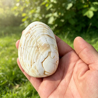 Vente en gros de cristaux de guérison de haute qualité, spécimens de coquillages fossiles pour la décoration intérieure et l'énergie