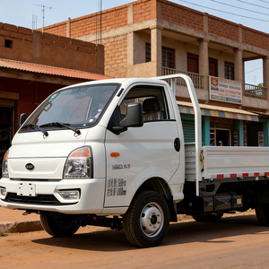 Camión Ligero KAMA X11, 2.0L Gasolina, 2T, Distancia entre Ejes de 2900 mm, Camión de Comida, Entrega Urbana - Product Image 1