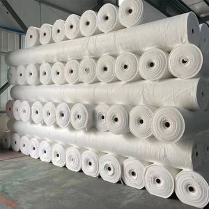 <span class=keywords><strong>Géotextile</strong></span> en filament, vente en gros en Chine, <span class=keywords><strong>géotextile</strong></span> non tissé, <span class=keywords><strong>200g</strong></span> 300g 500gr/m2, tissu non tissé en polyester - Product Image 5
