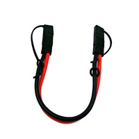 Pengisi Daya Baterai Sepeda Motor Kabel Ekstensi SAE 2-Pin Quick Disconnect dengan Penutup Debu
