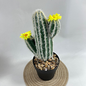 Vaso succulento con palla di Cactus simulata verde tropicale decorazione per la casa pianta artificiale-149 - Product Image 2