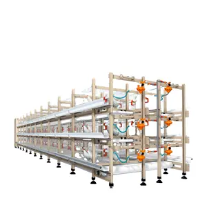 POULTRY HELPER Factory Wholesale Broiler Poultry Farming Equipment H Type Automatic System Battery Broiler Chicken Cage