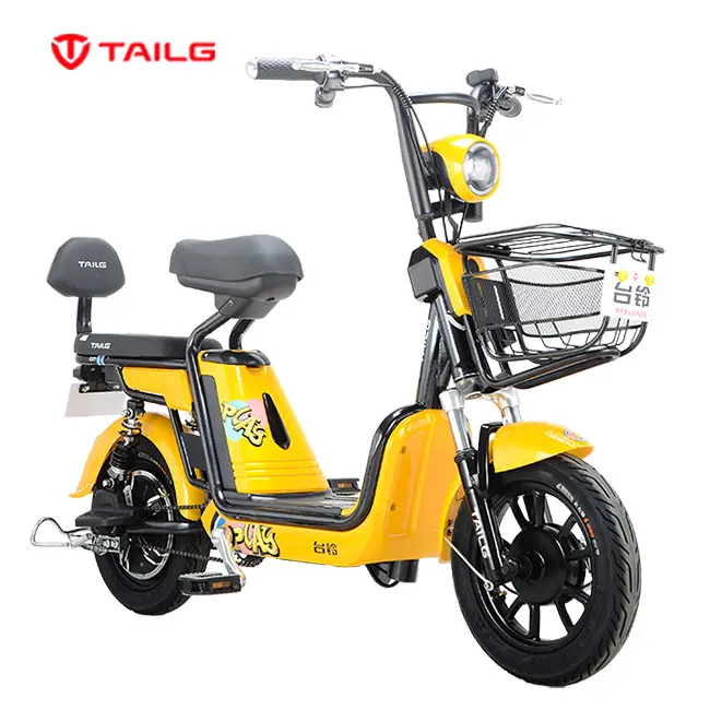 TAILG Simple and economical manned electric bicycle qicycle