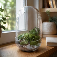Terrarium en verre borosilicate fait main avec couvercle en verre et trou de ventilation, récipient transparent pour exposition de plantes