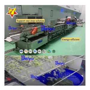 Baiyu attrezzature industriali per la lavorazione degli alimenti-linea di produzione di frutta e verdura per la pulizia di essiccazione e smistamento