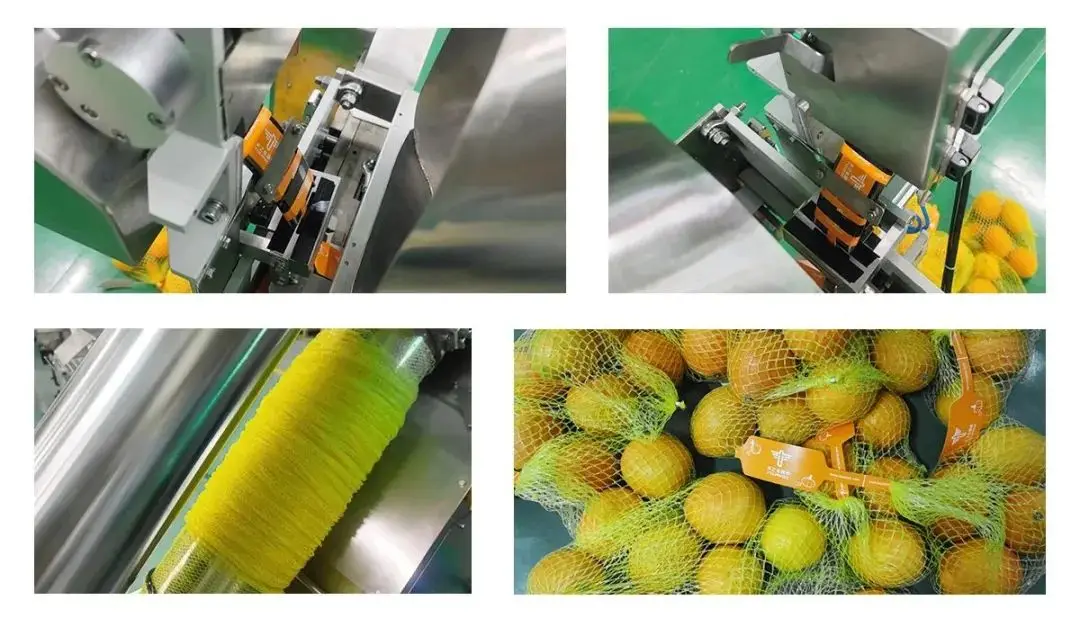 Full Automatic Net Bag Mesh Bag Packing and Weighing Machine for Vegetables and Seafood Shell Packing