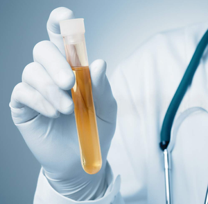 Großhandel 12 X75Mm 12 X100Mm 13 X75Mm 13 X78Mm Custom Laboratory Medical Kunststoff Einweg Polystyrol Blut Reagenzglas Verpackung - Product Image 5