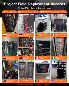 48V 300ah 300ah pin Lithium ion 15kwh 51.2V 300ah pin năng lượng mặt trời LiFePO4 48V 280ah 300ah 314ah máy chủ Rack mount Pin LiFePO4 - Product Image 4