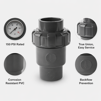 Vanne de retenue industrielle UPVC à union vraie 1 pouce, vanne à boisseau sphérique en PVC anti-retour pour système de traitement de l'eau, résistante à la corrosion