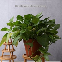 Rak Bunga Kayu Bambu Kreatif Modern - Desain Minimalis Multifungsi untuk Pot & Mangkuk Bunga