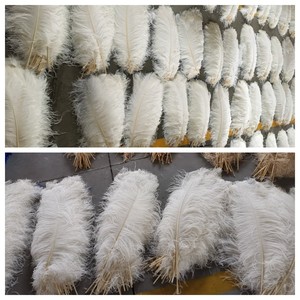 50-55cm Hoàng Gia chùm lông đà điểu lông cho bữa tiệc lễ hội nhà trung tâm đám cưới Xmas Bình trang trí kỳ nghỉ Tự Làm Thủ Công Hoa - Product Image 3