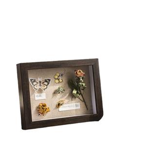 Caja de Exhibición de Madera Natural para Especímenes de Mariposas, Personalizable OEM/ODM, Marco Botánico de Marca Privada para Venta al Por Mayor - Product Image 2