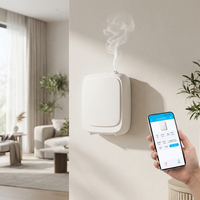 Diffuseur d'arômes sans eau à piles pour la maison, l'hôtel, la chambre, personnalisé par OEM, 200 ml, à fixation murale, nébuliseur