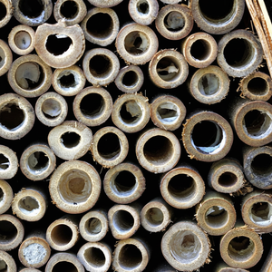 ซัพพลายเออร์เวียดนาม จำหน่ายไม้ไผ่ขนาดใหญ่ เกรดก่อสร้าง สำหรับวัสดุก่อสร้าง - Product Image 1