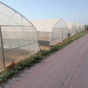 Baolida Plantas Agrícolas Casa Túnel de Fresas Invernadero Hidropónico Invernadero Vegetal - Product Image 5