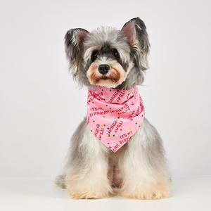Pañuelo Personalizado con Logotipo para Perros, Bandana de Cumpleaños para Perros, Baberos de Poliéster Sublimados, Pañuelo Triangular, Disfraz para Mascotas para Fiestas - Product Image 2