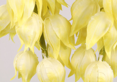 สีเหลือง