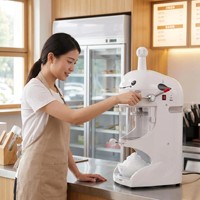 Machine à glace pilée électrique commerciale automatique avec fabricant de briques de glace 220V, facile à utiliser, pour les magasins de thé au lait