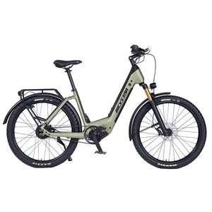 Retro 60 Meilen pro Stunde Fracht japanische Elektro fahrräder Elektro fahrrad Preise in Pakistan E-Bikes fetten Reifen Großhandel