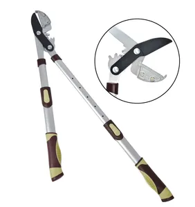 温斯洛 & 罗斯6节铝制伸缩修枝修枝器棘轮砧式修枝器和修枝器，带SK5刀片