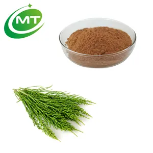 Organic 2%Silica acid Horsetail Herb Extract Powder in shampoo for hair