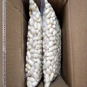 Premium geröstete rote Haut Erdnüsse geschälte Kerne in loser Schüttung zum Kochen Backen Snack ing Export qualität Lebensmittel qualität - Product Image 6