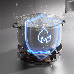 Quemador de <span class=keywords><strong>Gas</strong></span> Doméstico de Latón Macizo con Entrada de Aire Lateral, Ajuste de Calor Multivelocidad, Totalmente Integrado, de Acero Inoxidable y Encendido Electrónico - Product Image 4