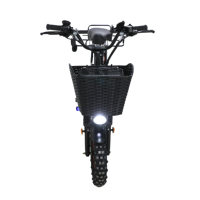 Vélo électrique populaire russe de 16 pouces avec moteur sans balais, frein à disque, batterie au lithium, pour adultes, livraison à domicile, antidérapant