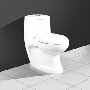 Siège de toilette monobloc en céramique vitreuse avec siphon en P et S, 690x700 MM, blanc brillant, système de chasse d'eau par gravité, Indien - Product Image 1