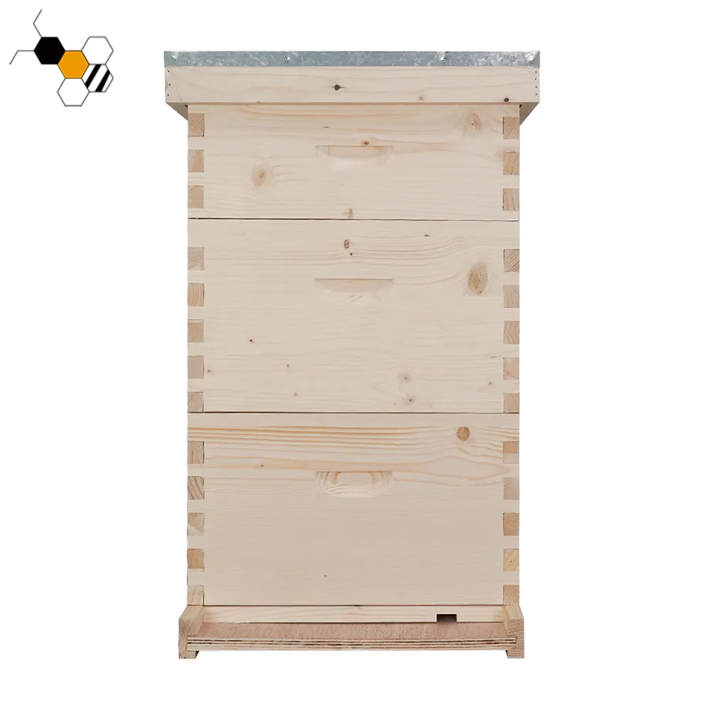 Caja de colmena de 3 capas, colmena de abejas, langstroth nacional