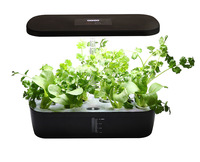Système de culture hydroponique avec lampe de croissance LED à spectre complet, 12 modules, coffret cadeau de mariage, cadeau de pendaison de crémaillère
