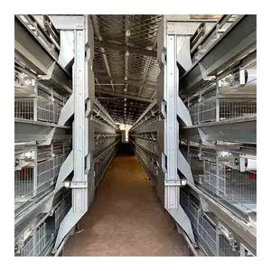 2021 New Product Auto Pullet Cage For Quail Pullet Rearing Chicks Cages Chicken Baby