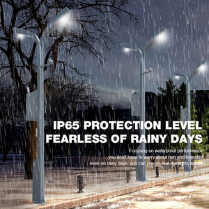 <span class=keywords><strong>Lampadaire</strong></span> intelligent extérieur étanche IP65 à <span class=keywords><strong>prix</strong></span> avantageux, personnalisable, avec service de recharge, en acier inoxydable, 100W LED - Product Image 2