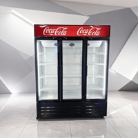 Réfrigérateur vertical pour boissons avec porte en verre, présentoir de boissons, porte en verre, réfrigérateur Coca-Cola