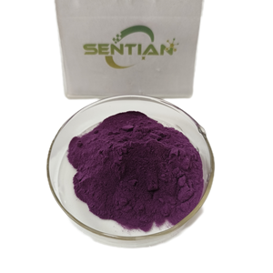 <b>Natural</b> Purple Sweet Potato Fruit Powder Food Grade Pigment with Astragaloside Packaged in Bottle or Drum - Product Image 6