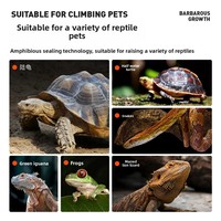 Terrarium professionnel en verre pour reptiles 20*20*20/30cm – Habitat complet avec aménagement paysager pour dragons barbus, tortues, geckos et serpents