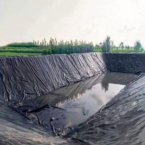 공장 가격 HDPE Geomembrane 1mm 2mm 연못 댐 라이너 바이오 다이제스터 매립지 Geomembranas PVC/EVA 재료 물고기 농장 - Product Image 1