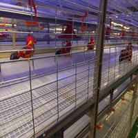 Cage d'élevage de poulets de chair à récolte automatique pour l'agriculture