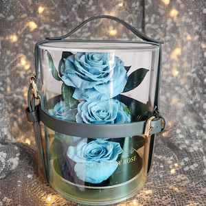 Caja de regalo de tambor acrílico de mano de rosa de flor eterna de jardín secreto Año Nuevo Día de San Valentín Regalo de cumpleaños BestFriend Girlfriend - Product Image 5