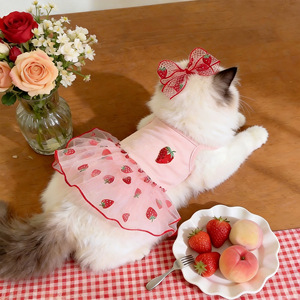 Proveedor Mayorista de Vestidos Finos de Verano para Mascotas, Falda para Cachorros, para Poodle, Teddy, Bichón, Yorkshire, Perros Pequeños y Gatos - Product Image 1