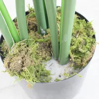 Bonsai monstera artificial, plantas de plástico, folhas de monstera para decoração de escritório e casa, venda imperdível