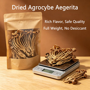 GOODEX Agrocybe <span class=keywords><strong>Aegerita</strong></span> Directement de l'usine - Product Image 4