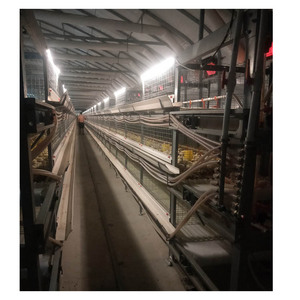 Jaula para transporte de pollos, jaula para transporte de pollos, 3x3 - Product Image 3