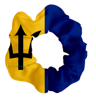 Élastiques à cheveux avec drapeau de la Guadeloupe pour femmes, filles et enfants, accessoires pour cheveux patriotiques, attaches pour queues de cheval, décorations pour la fête nationale