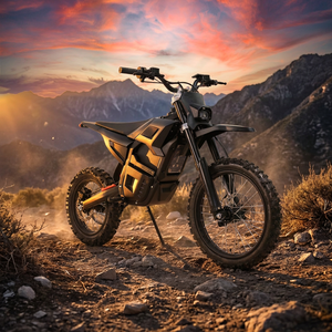 Moto tout-terrain M7 Motocross 2000W avec moteur central, 60V 27AH, pneus avant 17'' et arrière 14'', vitesse maximale 65KM/H - Product Image 3