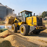 Chargeuse sur pneus d'occasion antidérapante de 5 tonnes avec échelle antidérapante et main courante complète pour l'opération d'alimentation des silos à ciment et des trémies