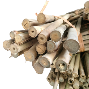 เสาสวนไม้ไผ่ขนาดเล็กธรรมชาติเพื่อการเกษตรและการรองรับพืช - Product Image 6